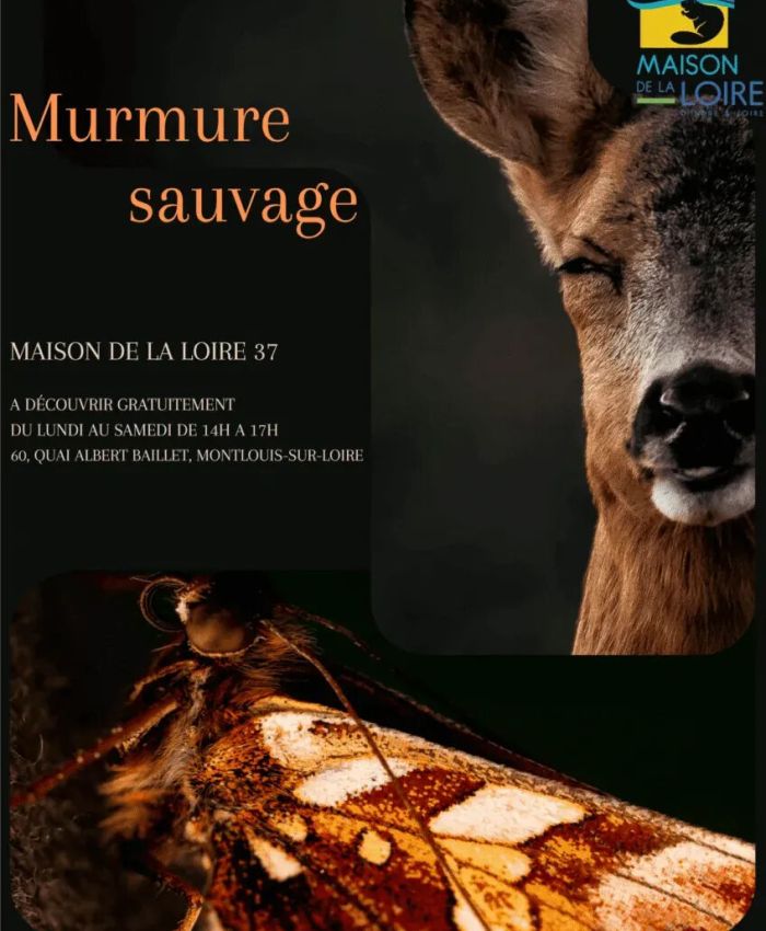 Entre Tours et Amboise 10 affiche murmure sauvage