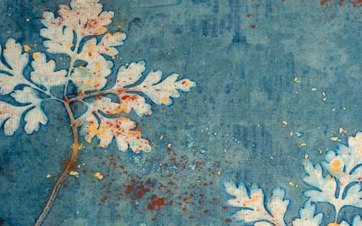 Cyanotypes et botanique à quatre mains 1 Gabarit home grande cyanotype
