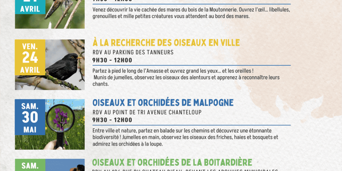 Entre Tours et Amboise 9 Inventaires participatifs Amboise