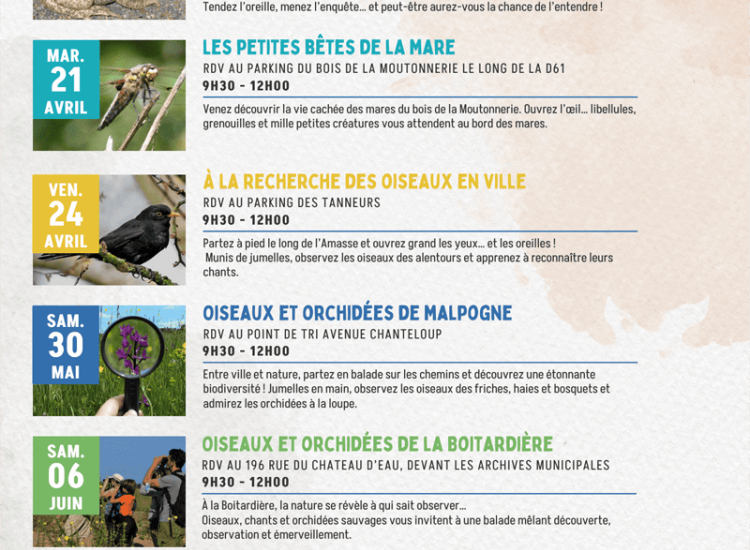 MURMURE SAUVAGE 4 Inventaires participatifs Amboise