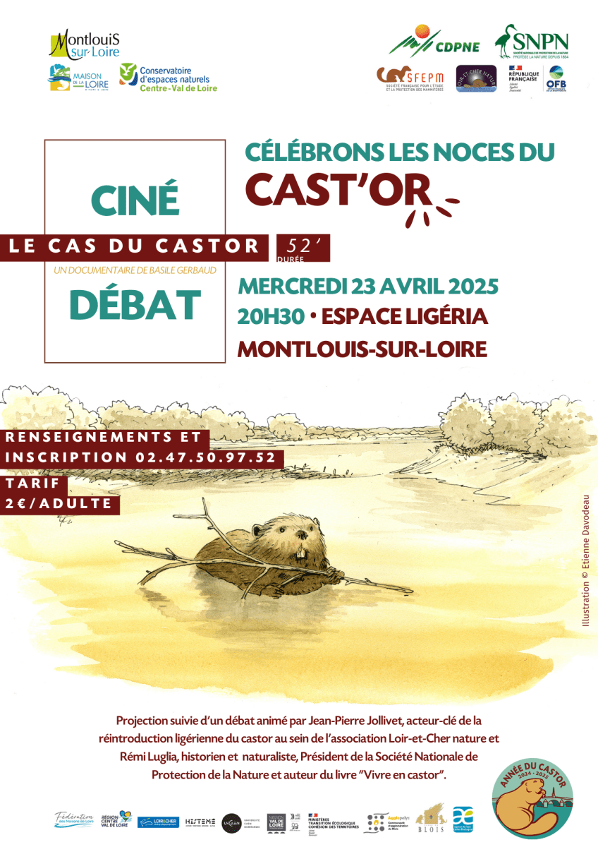 Célébrons les noces du castor 1 Flyer CEN projection Cas du castor