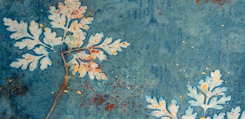 Gabarit home grande cyanotype