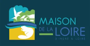 Accueil du site
