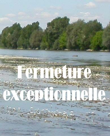 vignetteactu home