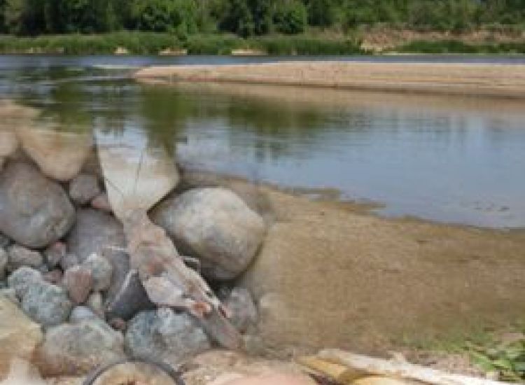 Le fleuve qui voulait écrire... 18 gabarit actus Home JPO
