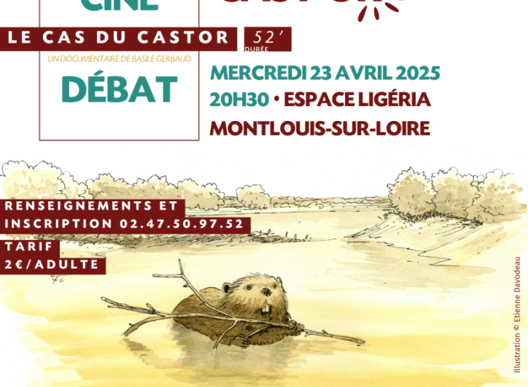 MURMURE SAUVAGE 10 Flyer CEN projection Cas du castor