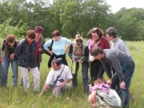 sortir groupe nature