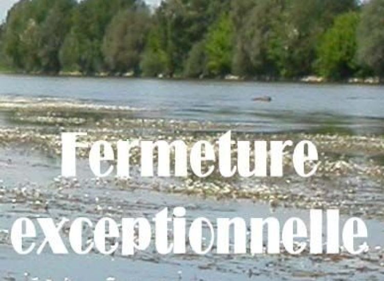 Le fleuve qui voulait écrire... 10 vignetteactu home